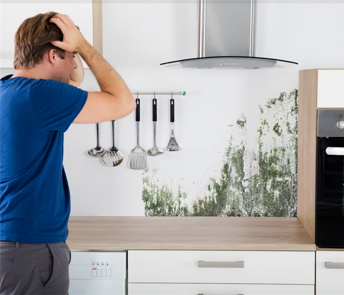 a man looking at a mold covered wall in his kitchen