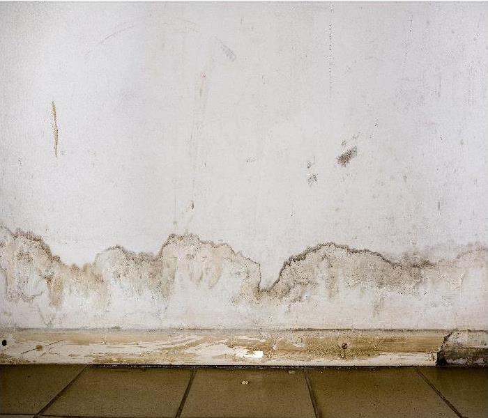 water damaged home